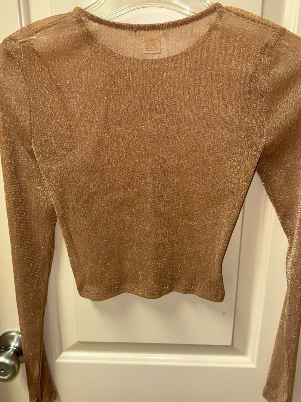 Tan and gold glitter long sleeve mesh crop size top. - Picture 1 of 5